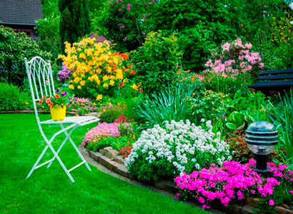 Озеленение участка