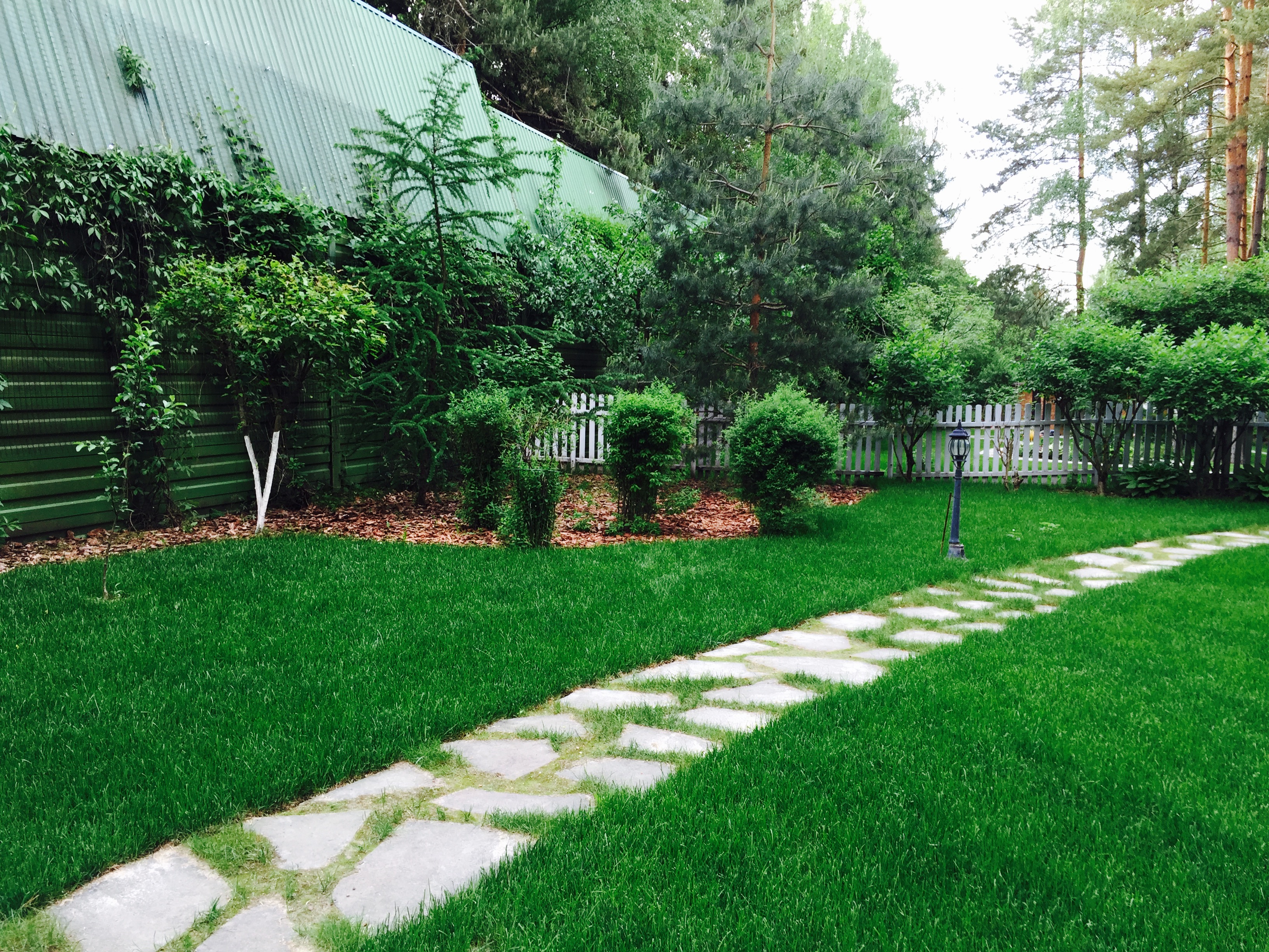 Газон на дачном участке фото